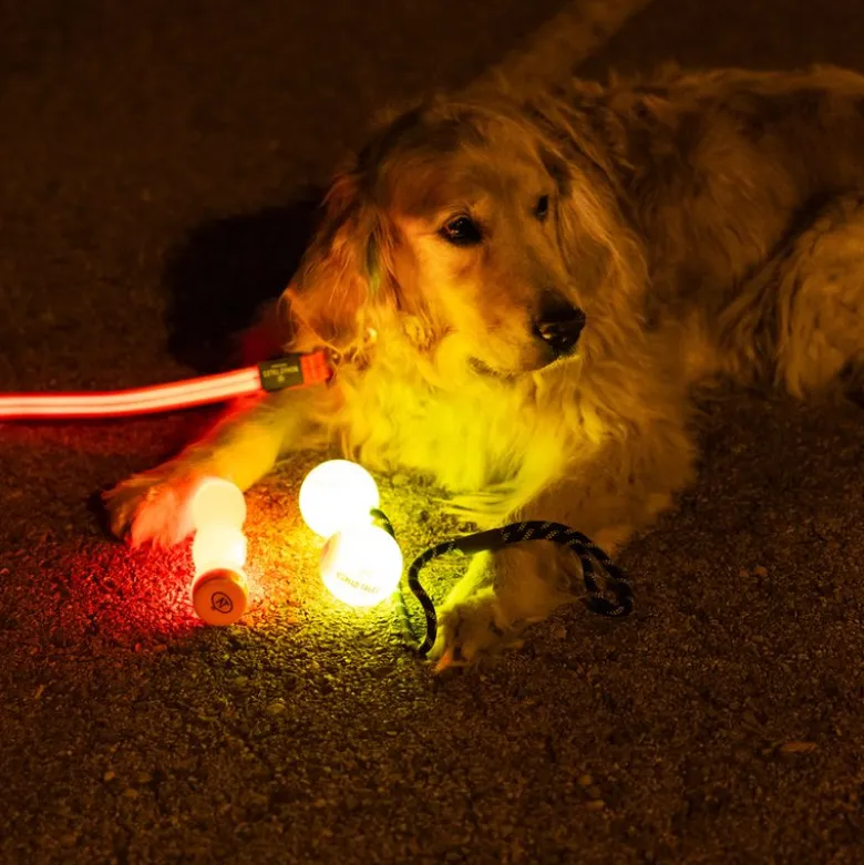 Nomad Tales Spirit USB LED knogle