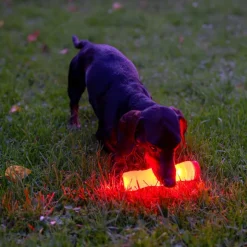 Nomad Tales Spirit USB LED knogle