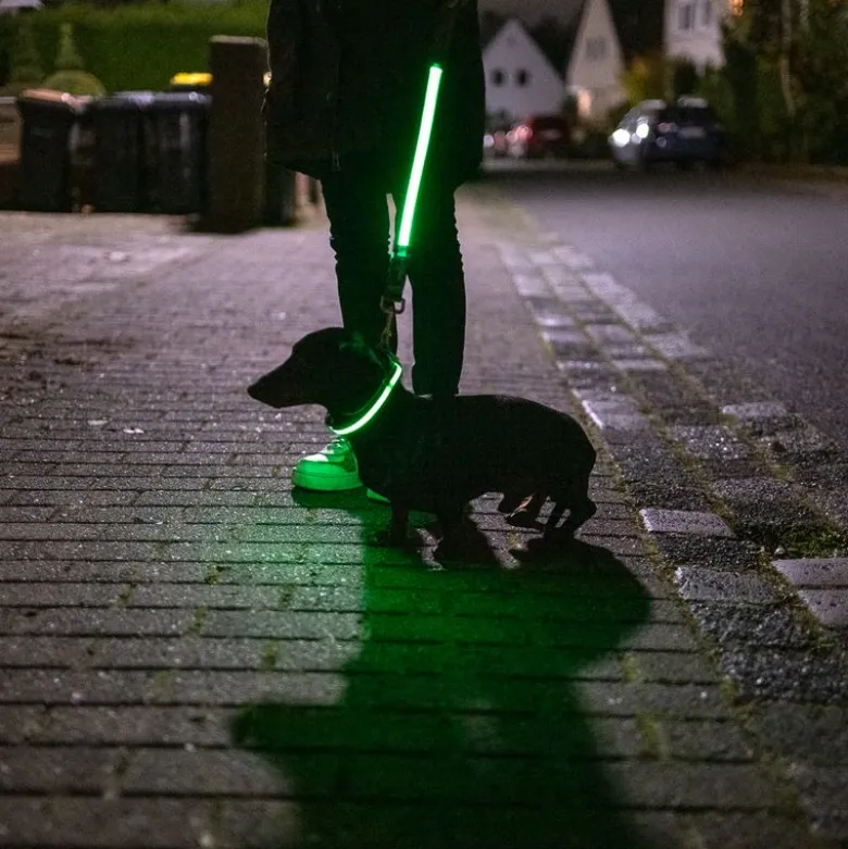 Nomad Tales Spirit USB LED nylonhalsbånd, neongul & grå