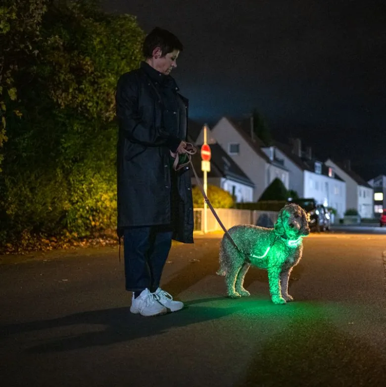 Nomad Tales Spirit USB LED nylonhalsbånd, neongul & grå
