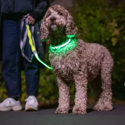 Nomad Tales Spirit USB LED nylonhalsbånd, neongul & grå