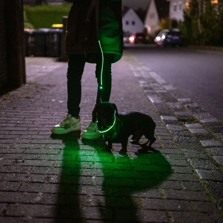 Nomad Tales Spirit USB LED nylonhalsbånd, neongul & grå