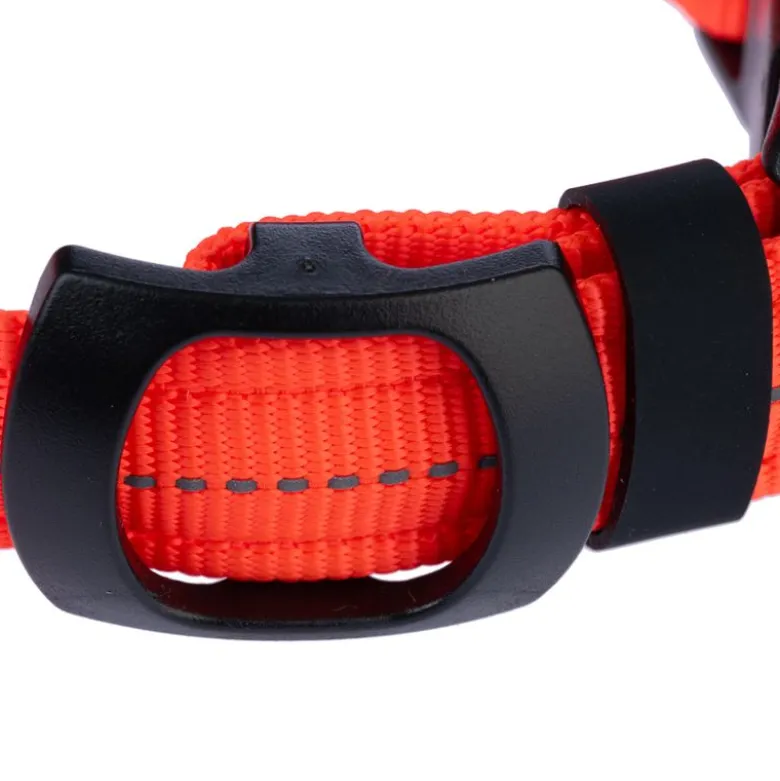 Nomad Tales Spirit USB LED nylonhalsbånd, orange
