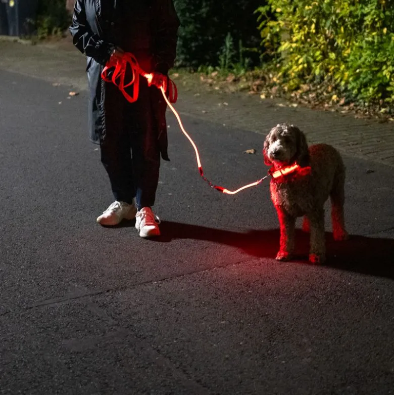 Nomad Tales Spirit USB LED-snorforlænger, orange