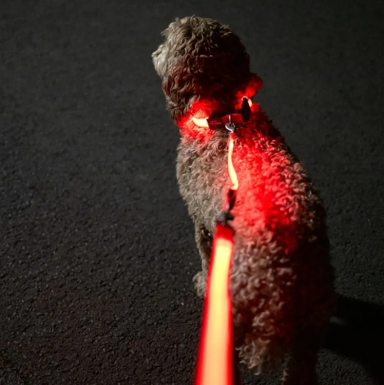 Nomad Tales Spirit USB LED-snorforlænger, orange