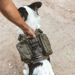 Nomad Tales Tactical hundesele