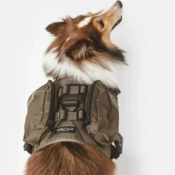 Nomad Tales Tactical hundesele