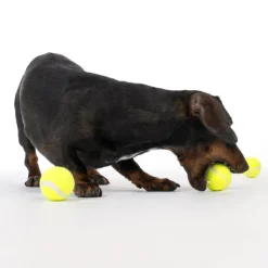 Nomad Tales tennisboldsæt