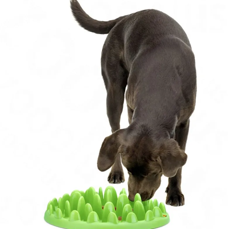 NORTHMATE ® Green Feeder