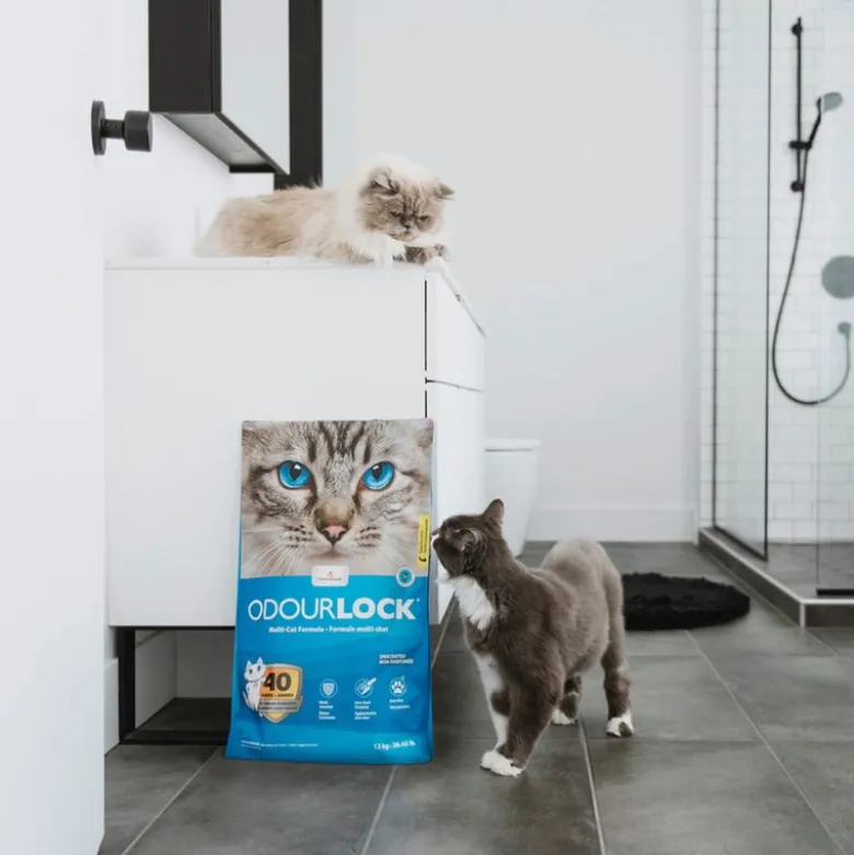 ODOURLOCK Kattegrus uden parfume