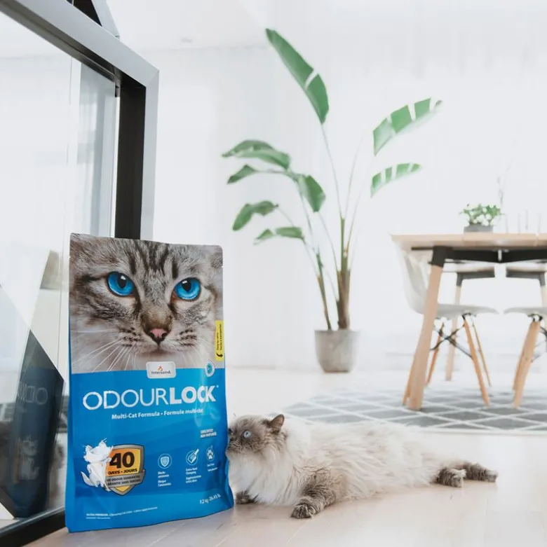 ODOURLOCK Kattegrus uden parfume