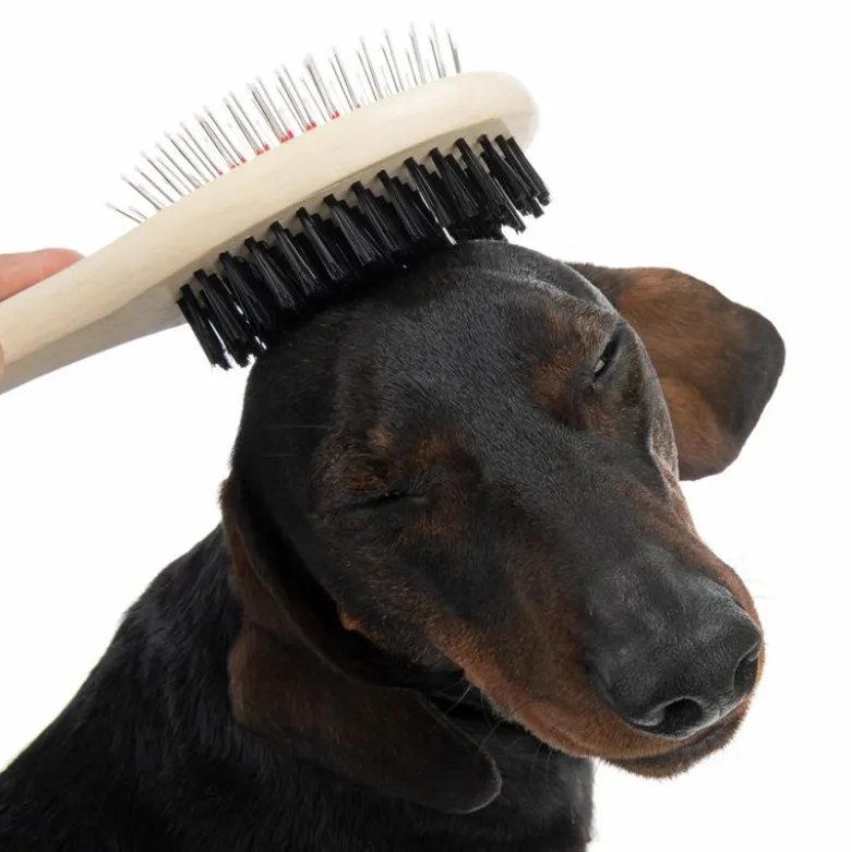 Oval Dobbeltsidet Børste
