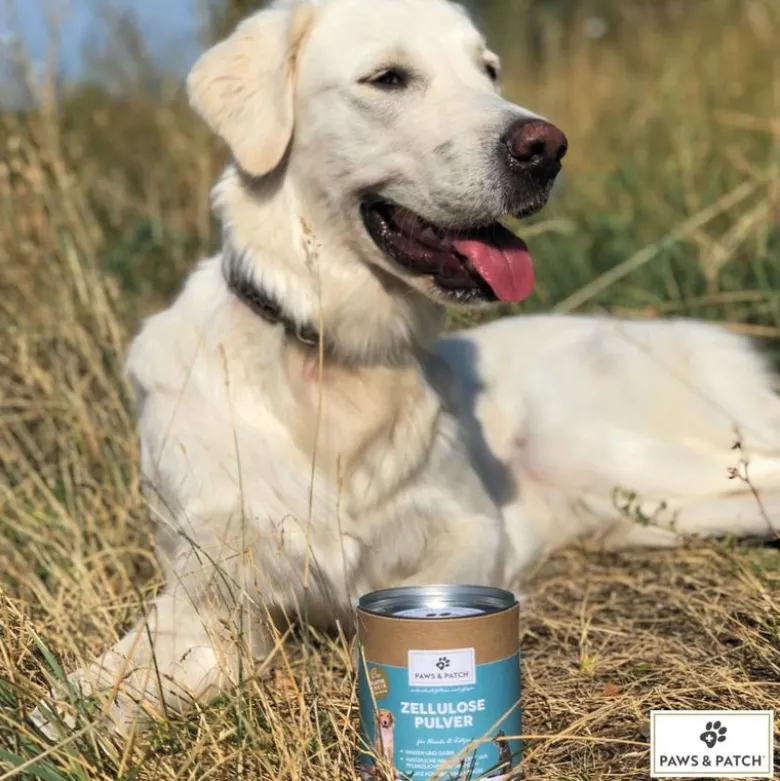 PAWS & PATCH Cellulosepulver