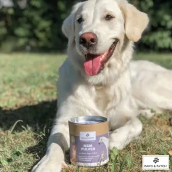 PAWS & PATCH MSM Pulver