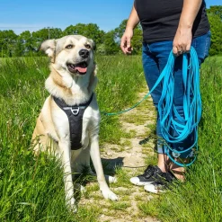 Pawz & Pepper Strong Sporline, blå