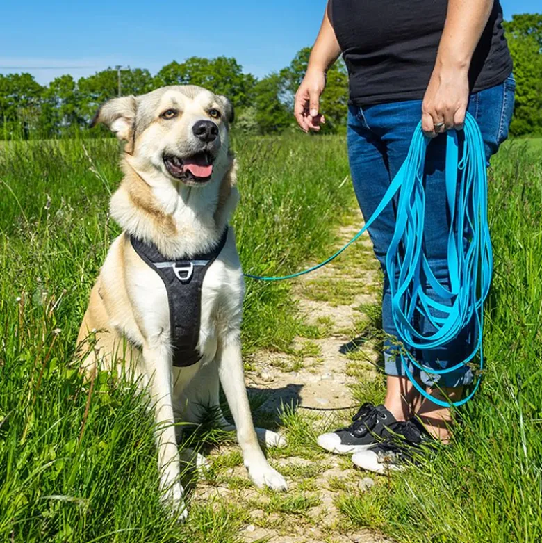 Pawz & Pepper Strong Sporline, blå