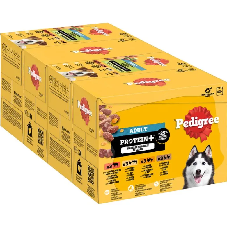 Pedigree Adult Protein Plus Portion Gelé