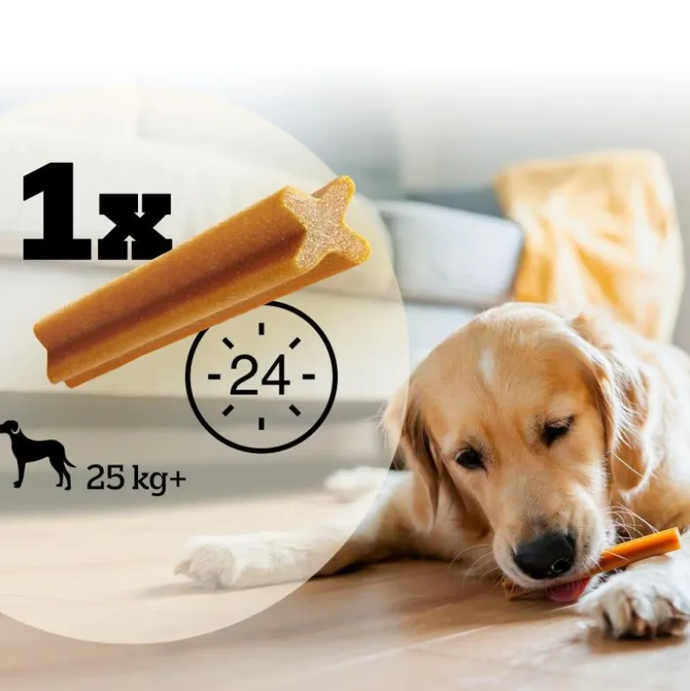 Pedigree DentaStix