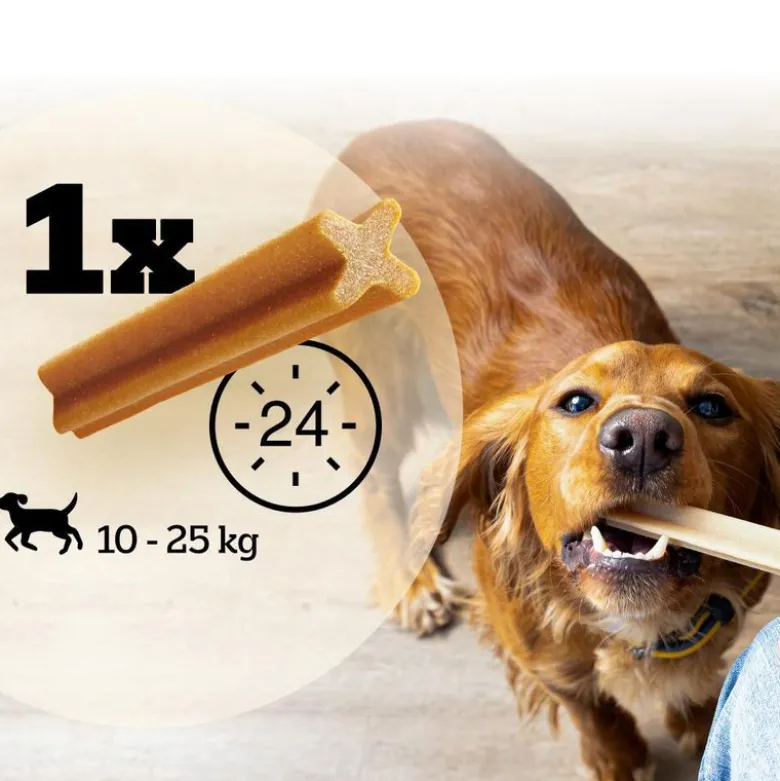 Pedigree DentaStix