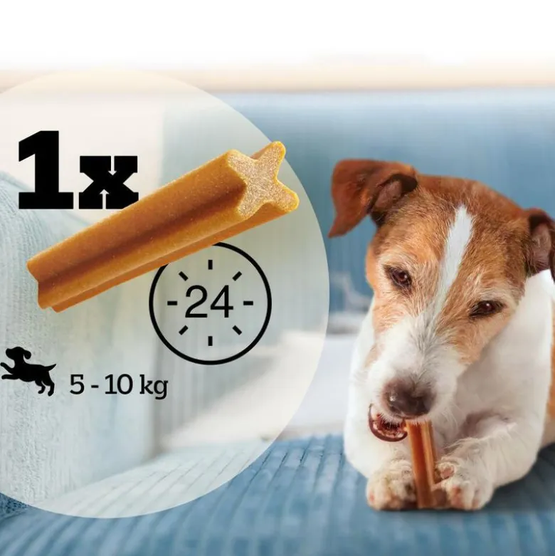 Pedigree DentaStix