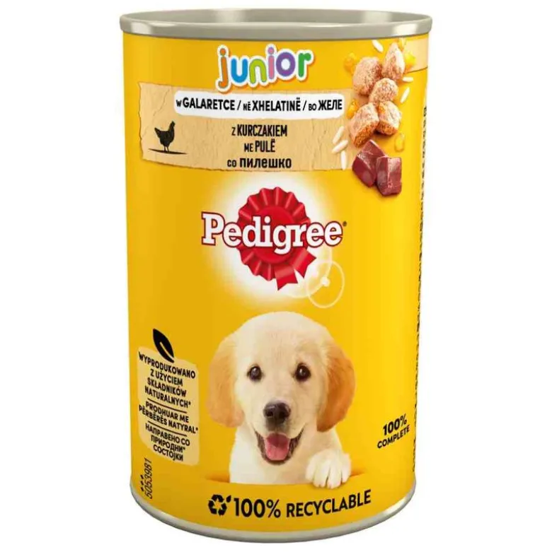 Pedigree Junior