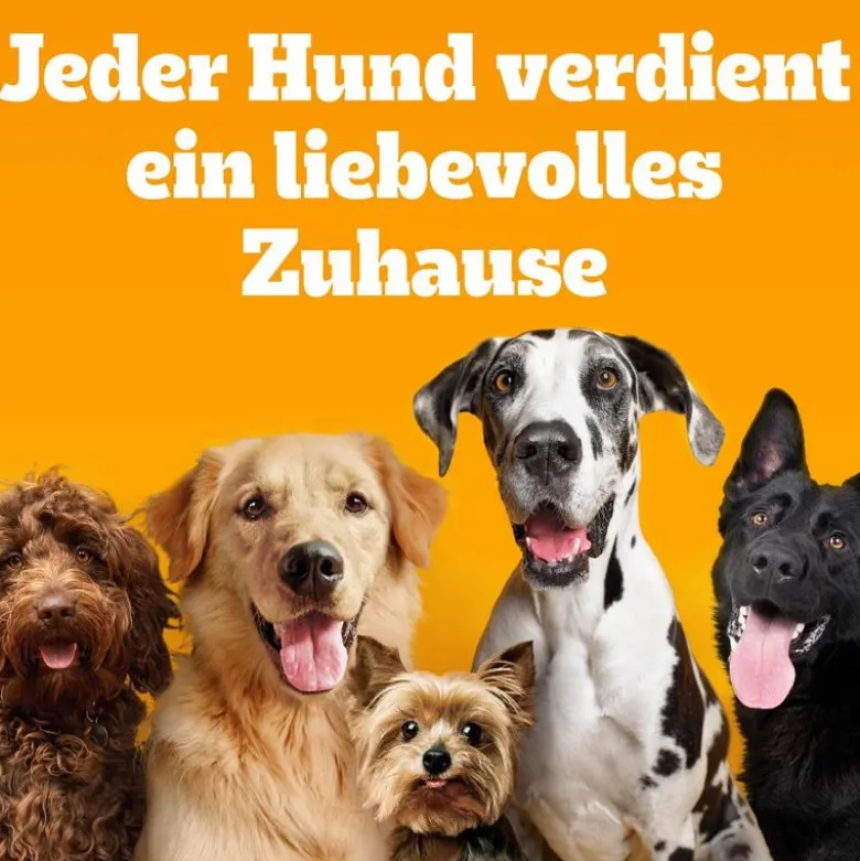 Pedigree Professional Nutrition Junior med fjerkræ og grøntsager