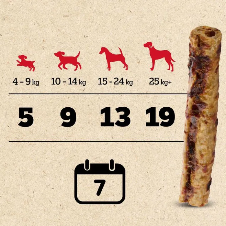Pedigree Ranchos Lag