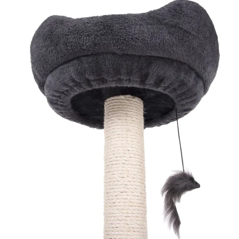 Penelope Kradsetræ