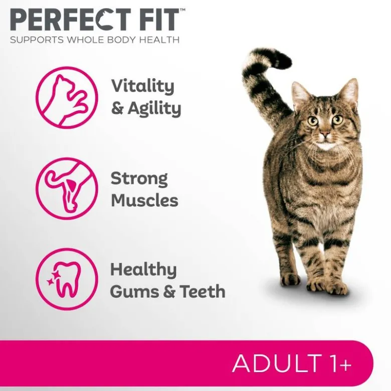 Perfect Fit Active 1+ Okse