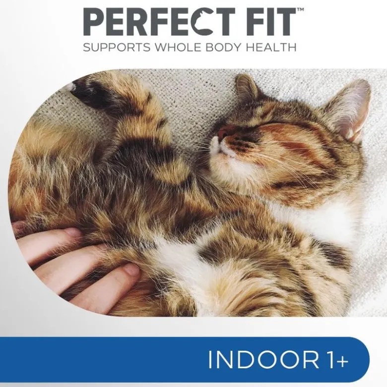 Perfect Fit Adult 1+ Indoor Kylling