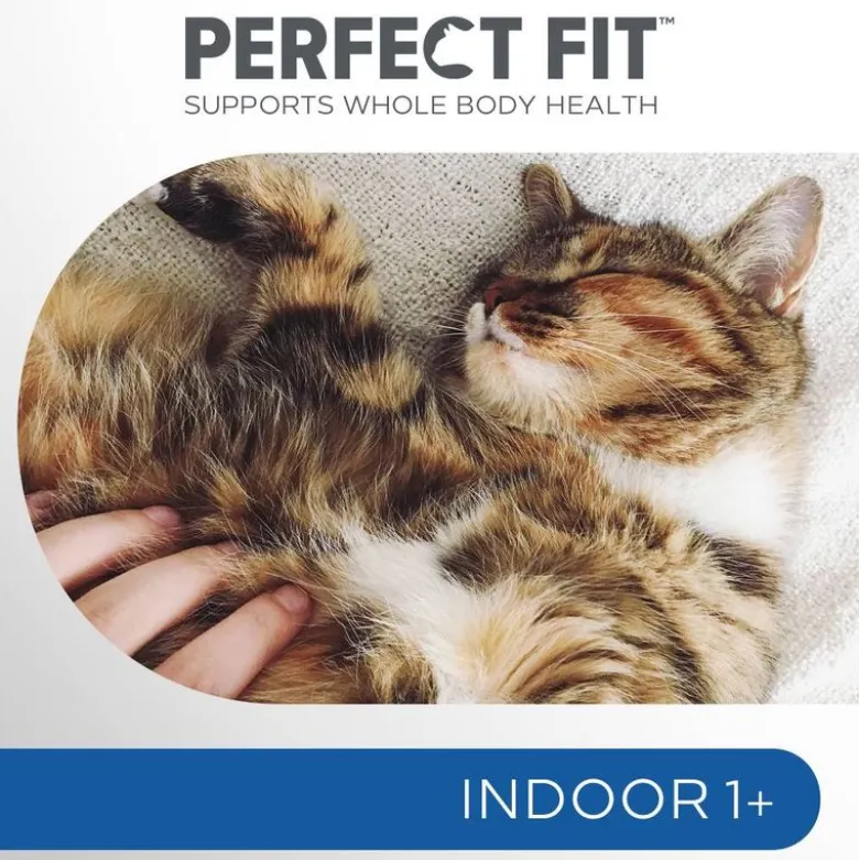 Perfect Fit Adult 1+ Indoor Okse