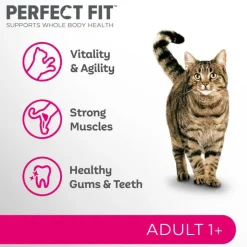 Perfect Fit Adult 1+ Kylling