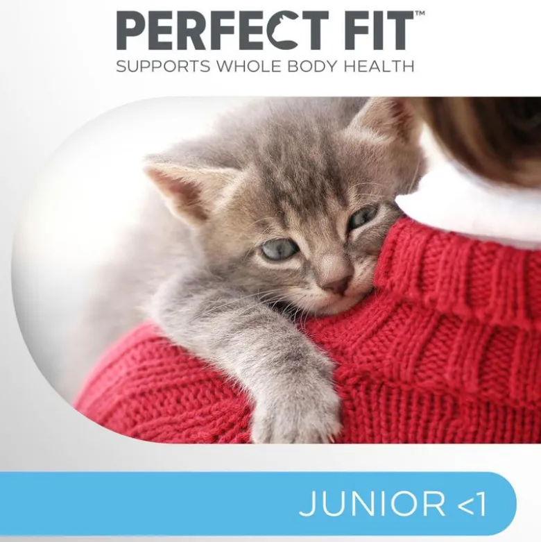 Perfect Fit Junior <1 - Rigt på kylling