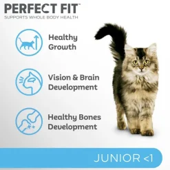 Perfect Fit Junior <1 - Rigt på kylling
