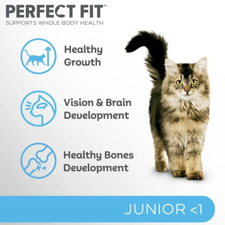 Perfect Fit Junior <1 - Rigt på kylling