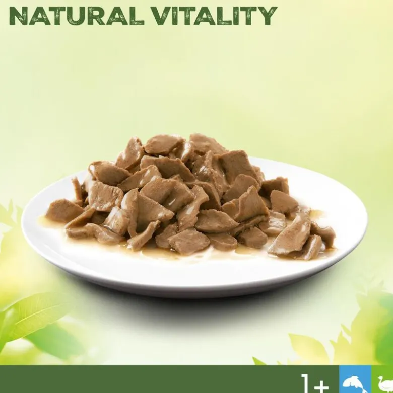 Perfect Fit Natural Vitality Adult 1+