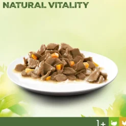 Perfect Fit Natural Vitality Adult 1+