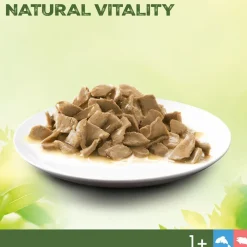 Perfect Fit Natural Vitality Adult 1+ Laks & Hvidfisk
