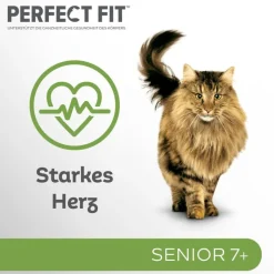 Perfect Fit portionspose Senior