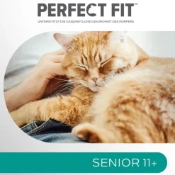 Perfect Fit Senior 11+ Kylling