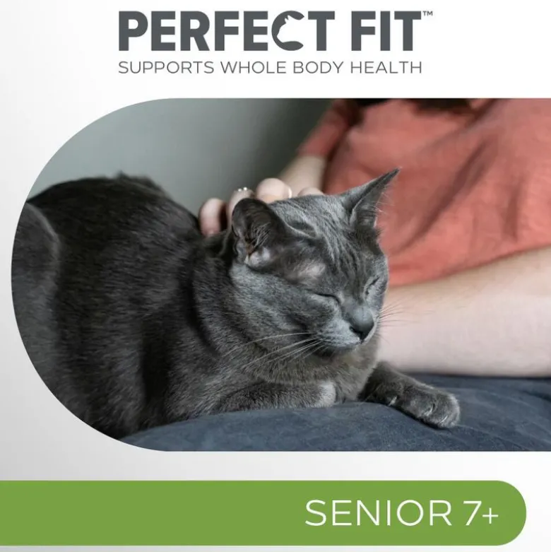 Perfect Fit Senior 7+ – rig på kylling
