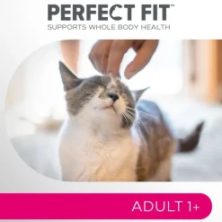Perfect Fit 1+ Sterile Okse
