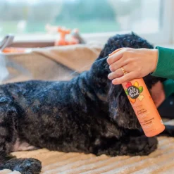 Pet Head Quick Fix Shampoo