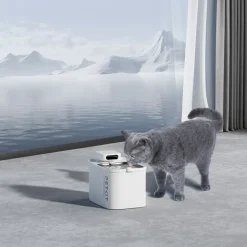 Petkit drikkefontæne Eversweet Max