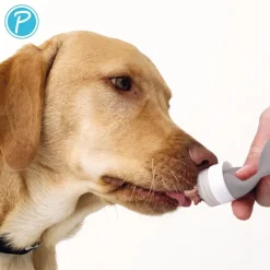 Petlando ernæringssonde Yummy Love, grå
