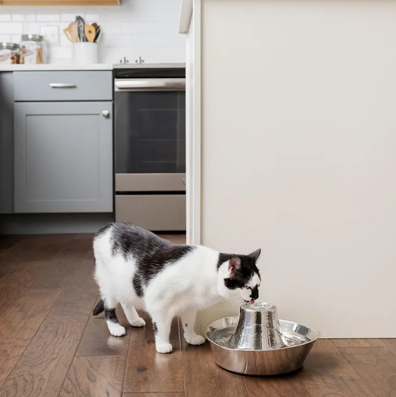 PetSafe® Drinkwell® Bølgebrus drikkefontæne