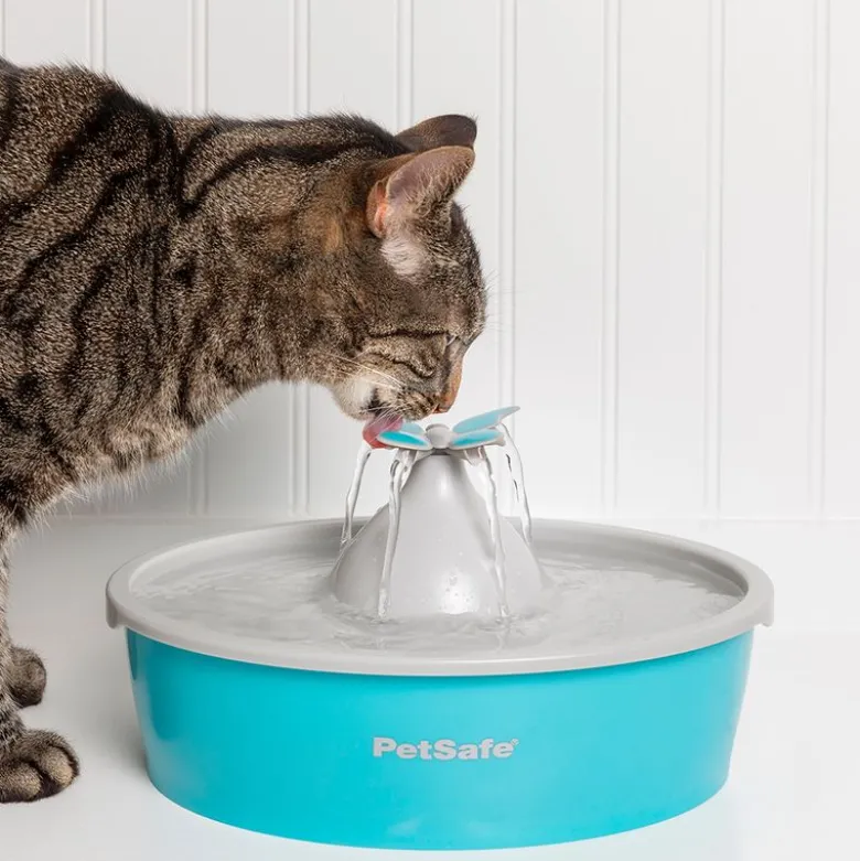 PetSafe® Drinkwell® Butterfly drikkefontæne