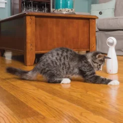 PetSafe® FroliCat® Bolt Laser kattelegetøj