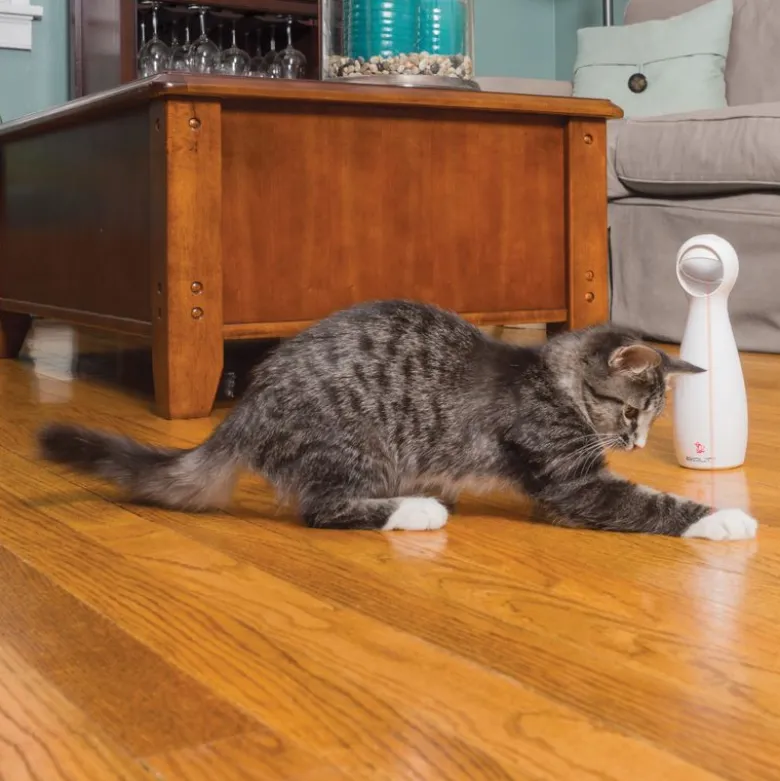 PetSafe® FroliCat® Bolt Laser kattelegetøj