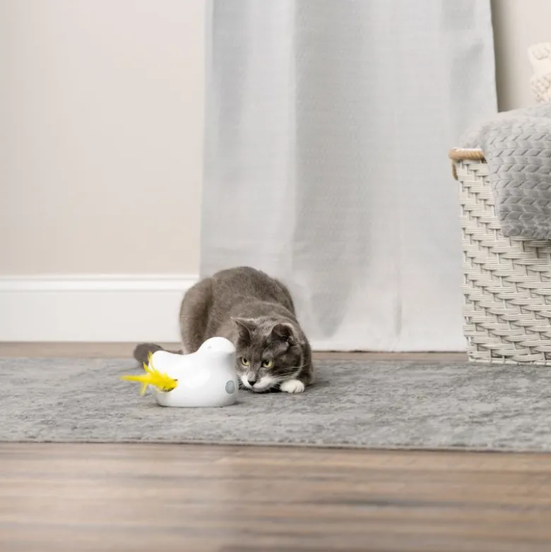 PetSafe® Peek-a-Bird elektronisk kattelegetøj